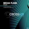 Halogen (Shaun Greggan Remix) - Brian Flinn&Shaun Greggan