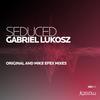 Seduced (Enticed Main Mix) - Gabriel Lukosz