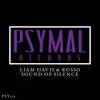 Sound Of Silence (Original Mix) - Liam Davis&Rosso