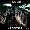 Hauch(Original Mix) (Remix) - Nesstor