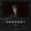 泪如相思雨落下 (cover: 郑亦辰) - 张天宇