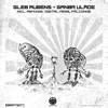 Ganba Ulade (Falconne Remix) - Gleb Rubens&Falconne