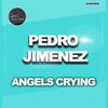 Angels Crying (Original Mix) - Pedro Jiménez