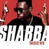 Slow And Sexy (Album Version) - Shabba Ranks&Johnny Gill