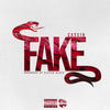 Fake (Explicit) - Cascio