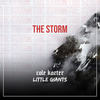 The Storm - Cole Karter&Little Giants