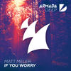 If You Worry (Original Mix) - Matt Meler