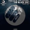 The Black Cat (Original Mix) - Precious Affliction