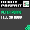 Feel so Bad (Edit) - Peter Ponno