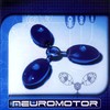 The Brain Forest - Neuromotor