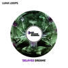 Groove Dazy (Original Mix) - Luna Loops