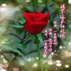 摘下这朵红玫瑰（波洛牛仔版） (其他) - 一生何求m&波洛牛仔