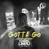 Gotta Go (CLYFFTONE Remix) - Chris Lineau&CLYFFTONE