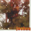 Lovers Quarrel - Joshua