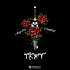 TEMT (feat. Fr3skoelnigga) (Explicit) - Fr3skoelnigga&ANNDREE999