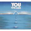 Controlled Demolition - You
