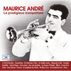 Le Vol du Bourdon - Maurice Andre