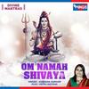 Om Namah Shivaya - Sadhana Sargam