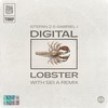 Digital Lobster - Stefan Z&Gabriel I