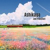 Ashikaga - Leo Franciozi