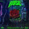 Rose (Explicit) - Fae August&Anthrazit