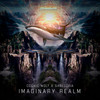 Imaginary Realm (Original Mix) - Cosmic Wolf&Sabedoria