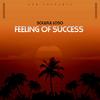 Feeling Of Success (Explicit) - Soulful Loso