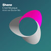 C'est Musique (Armin van Buuren Remix) - Shane