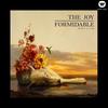 The Leopard and the Lung - The Joy Formidable