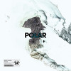 Polar - Nicky Miles