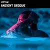 Ancient Groove - Lyctum