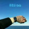 赵四开场 - 蒋稳妥