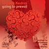 Going to Prevail (Tiago D'errico Radio Mix) - Christos Kedras&Tiago D'Errico