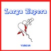 Larga Espera (Acústica) - Vargas