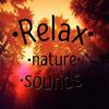 Spring Is Here - Rest&Relax Nature Sounds Artists