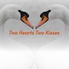 Crazy Kind of Love - Louise Cordet