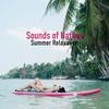 Little Forest Stream - Nature Sounds&SPA&New Age&Relaxation and Dreams
