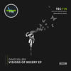 Visions Of Misery (Original Mix) - David Sellers