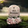 Mil Pedazos - SERVE&Cecille