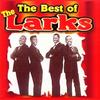 It's Unbelievable - The Larks