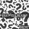 What You Mean (Explicit) - BigZhe