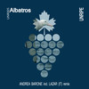 Albatros (Original Mix) - Andrea Barone