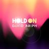 Hold On - David Briph