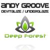 Devitalize (Original Mix) - Andy GRooVE