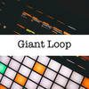 Funky Loop (95a) - Francisco Rodriguez