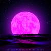 Spotlight(feat. Pedro Young) (Explicit) - Cruiser Records&Aayush Shadow&Pedro Young