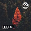 Forest (Radio Mix) - Dkeymusik