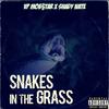 Snakes In The Grass(feat. Shady Nate) (Remix|Explicit) - VP Mob$tar&Shady Nate