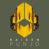 Punjo (Radio Edit) - Raiden