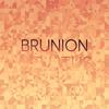 Brunion Mellitus - Vica Rula